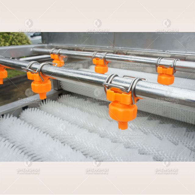 Lavadora automática de caña de azúcar, lavadora de fruta de melocotón y manzana, cepillo limpiador, máquina de limpieza de caña de azúcar